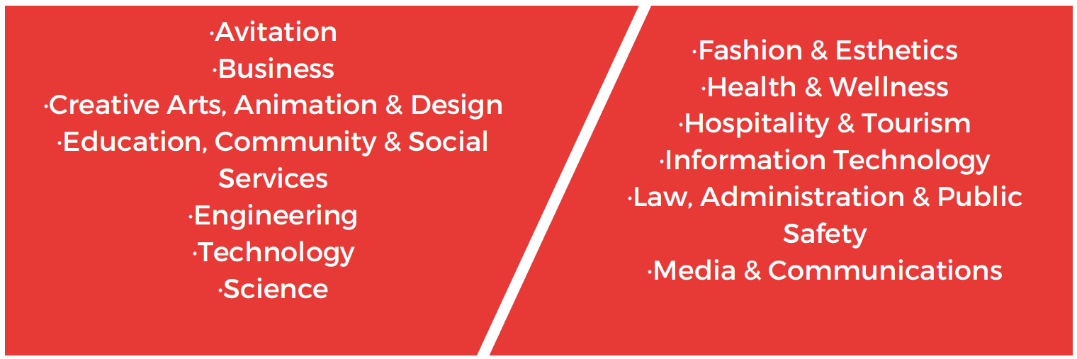 Seneca College bölümler / program kategorileri grafiği