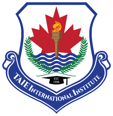 TAIE International Institute logosu