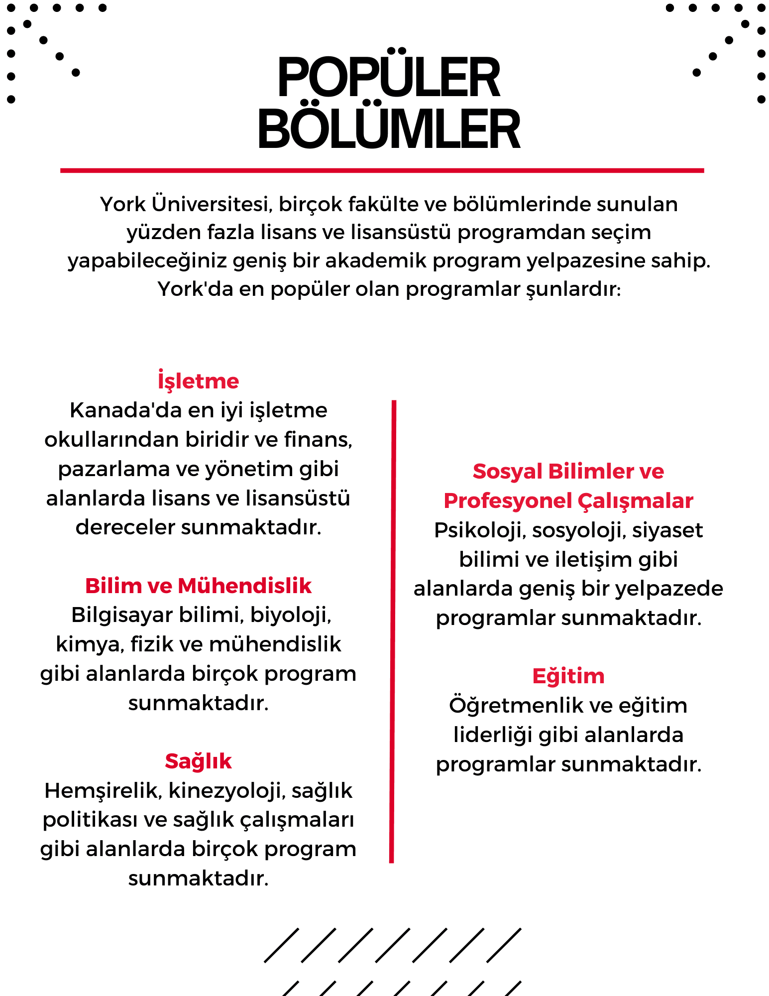 York Üniversitesi Popüler Bölümler grafiği